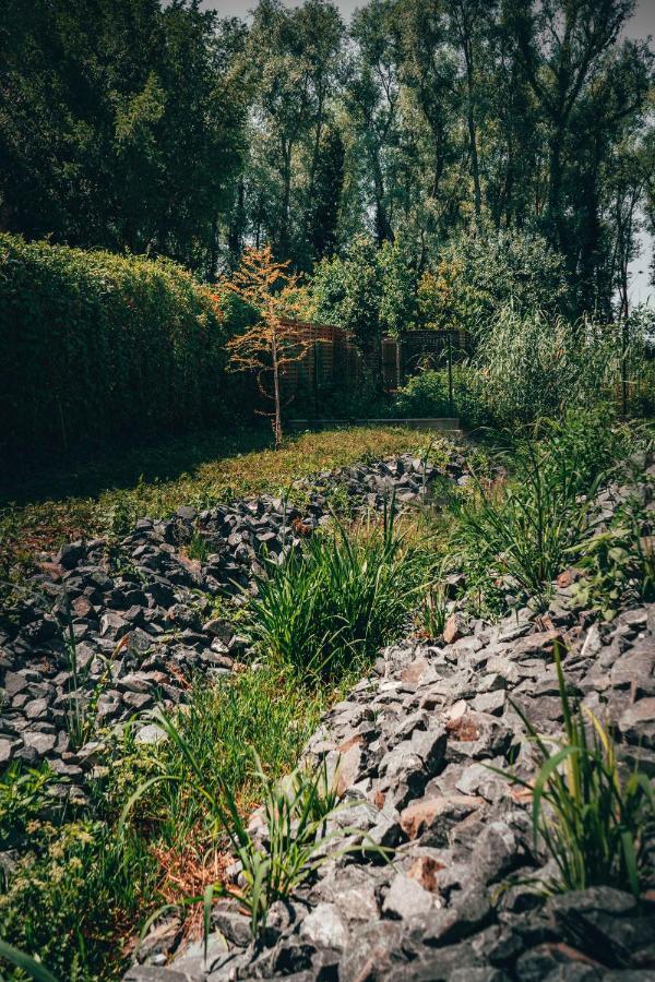 Apartament Fuzliget Surf Garden Balatonfůzfő Zewnętrze zdjęcie